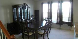8250 RED CARNATION Court Gallery 10