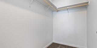 Amazon Falls Gallery 11