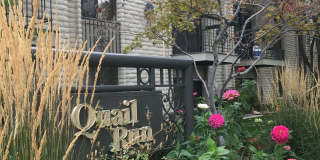 Quail Run Gallery 1