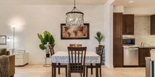 Modern 1 BDR in Peloton - Ground Floor - Full Accessible Gallery 12