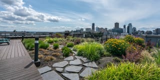 The Chloe Apartments Gallery 39