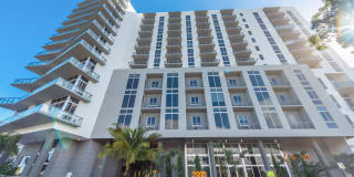 Zoi House Gallery 38