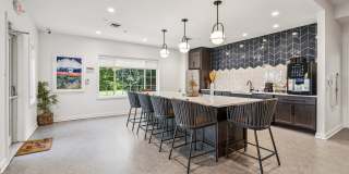 Lakeside Village Gallery 14