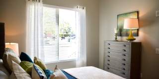 Park and Broad Gallery 11