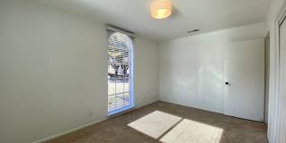 Hidden 4 Bed 2 Bath Gem in South Austin! Gallery 24