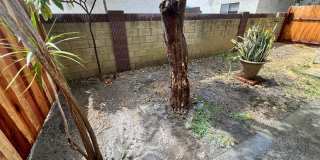 B- 6-Unit 9532-9536 1/2 Cedar Street. B- 6-Unit 9532-9536 1/2 Cedar Street. Gallery 20