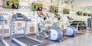 Sofi Berryessa Gallery 3