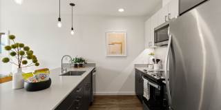 Axle Gallery 10