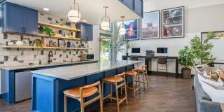 Alta Springs Gallery 33