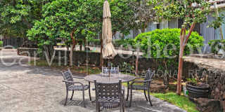 Makiki Gem- Fully Furnished 1BR/1BA/1Parking Gallery 6