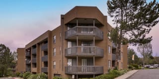 Alta Springs Gallery 18