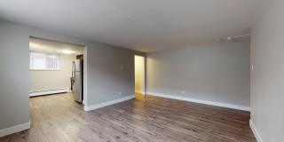 South Forest Gallery 12