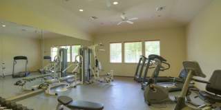 Park at Piney Woods Gallery 15