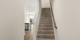 597 Galt Drive 597 Galt Drive Gallery 2