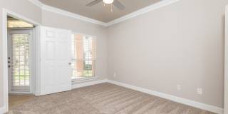 Las Palmas Gallery 27