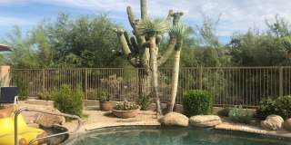 7132 E Thirsty Cactus Lane Gallery 11