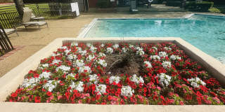 Wyngate Townhomes Gallery 11