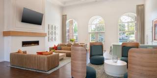 The Courts Of Devon Gallery 77