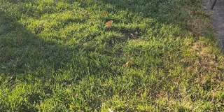 1 Blackford Avenue Gallery 22