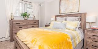 Fitz on 14th Gallery 6