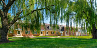 Deertree Gallery 21
