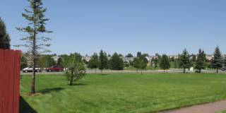 Beautiful home with 3 bedrooms, 2 1/2 bathrooms, 2-car garage ready to move in!  NO PETS & NO SMOKING of any kind ALLOWED! Gallery 8