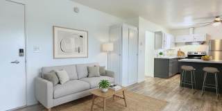 Castlewood Arms Gallery 1