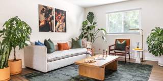 Canopy Gallery 7
