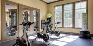 Avery at Turkey Creek Gallery 23