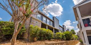 Silver Creek Gallery 40