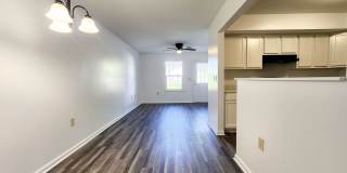 Cameron Creek Gallery 10