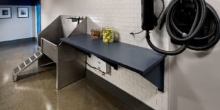 Avalon Dunn Loring Gallery 28