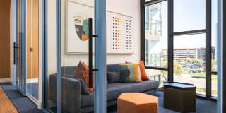 Fellow at Fitz Gallery 11