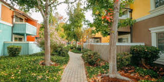 Peppertree Apartments Gallery 38