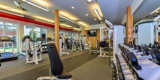 Cortland at Phipps Plaza Gallery 18