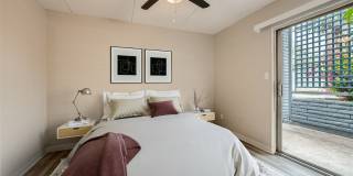 Rise Biltmore Gallery 13