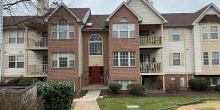 2020 ALICE AVE #2020-204 Gallery 3