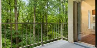 Lerner Springs at Reston Apartment Homes Gallery 14