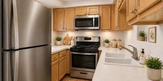 517 Indian Princess Drive Gallery 5