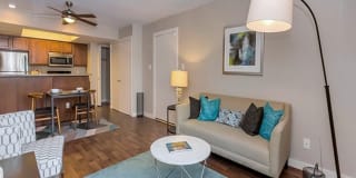 Olive East Gallery 4
