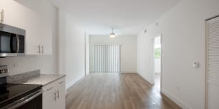 Zona Village Gallery 22
