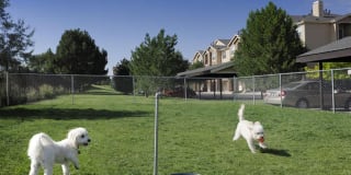 Lowry Park Gallery 18