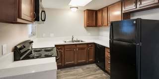 Camden Park Gallery 9