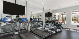 Advenir at Wynstone Gallery 17