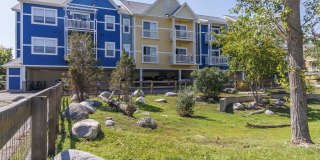 Trocadero Gallery 25