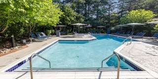 Halstead Burke Gallery 8