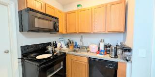 Modern Allston 2-bed, 1-bath Minutes from Packard's Corner Gallery 5