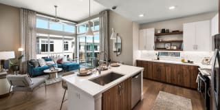 Roadrunner on McDowell Gallery 16