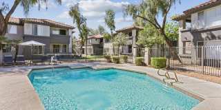 Vista Grove Gallery 15