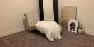 Get 8 Weeks Free On 14 Month Lease! Call For Details. Gallery 17